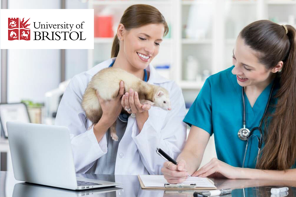 WebCCTV Contributes to Animal Research at the University of Bristol